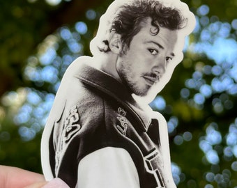 Joseph Quinn Vinyl Sticker