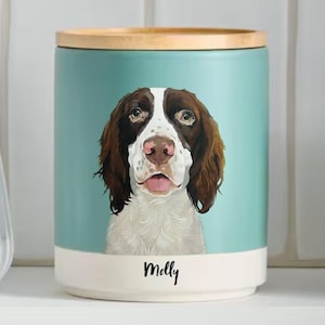 Personalised Hand Painted Dog Urn, Stoneware Pet Urn, Custom Cat Urn, Memorial Ashes Jar, Cat Loss Gift,  Pottery Container with Lid