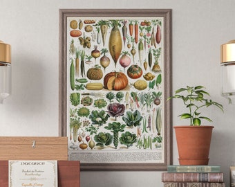 Vintage Vegetable Poster, Wall Art, Birthday Gift, Minimalist Home Decor, Framed Poster, Date: 1913