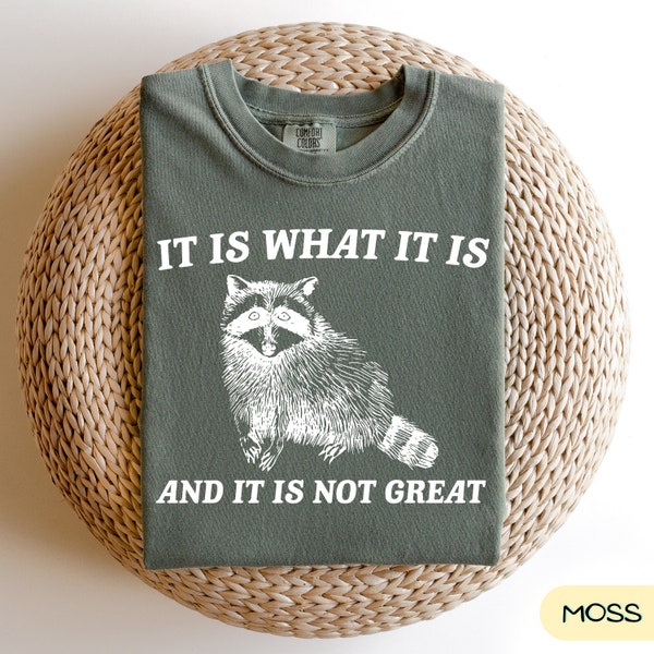 Comfort Colors® It Is What It Is And It Is Not Great Shirt, Trendy Shirt, Funny Mood Sweatshirt Vintage Drawing T-Shirt, Raccoon Meme c51