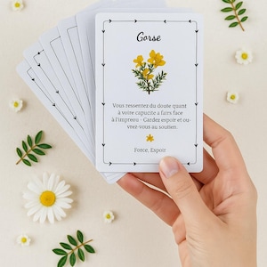 38 Bachsblomstermedelskort (PDF, franska)