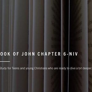 Book of John Chapter 6 Bible Study-NIV