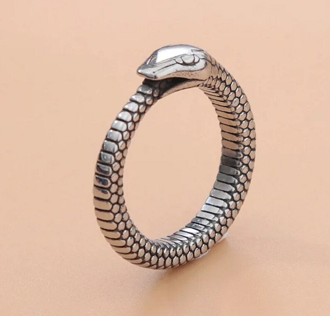 Ouroboros Ring, Infinity Snake Serpent Talisman Ring, Snake Eating Tail