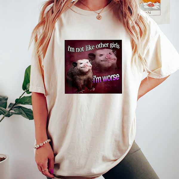 Im Not Like Other Girls I'm Worse Shirt - Etsy