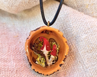 Miniature lucky mushrooms in a black walnut, lucky charm, unique item