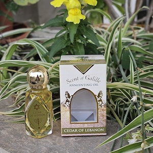 Cedar of Lebanon Anointing Oil – Scent of Galilee – Holy Land Oil from Israel