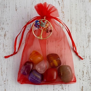Op de afbeelding: Een rode organza zak gevuld met gepolijste edelstenen in verschillende kleuren. Een goudkleurige levensboomhanger met kleurrijke stenen hangt aan de bovenkant van de zak. De zak is vastgebonden met een rood lint.