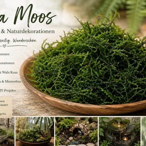 Puede incluir: Un montón de musgo de Java verde oscuro se encuentra en un cuenco de madera poco profundo. La imagen incluye texto en alemán, iconos de uso y cinco fotos pequeñas que muestran el musgo en fuentes, terrarios y jardines en miniatura.