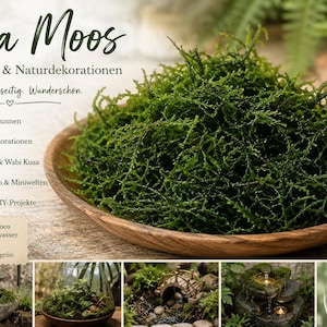 Moon-shaped indoor fountain with LED light, made of polyresin. Optional Java moss. Mini tabletop fountain, Feng Shui water feature. Mit Javamoos