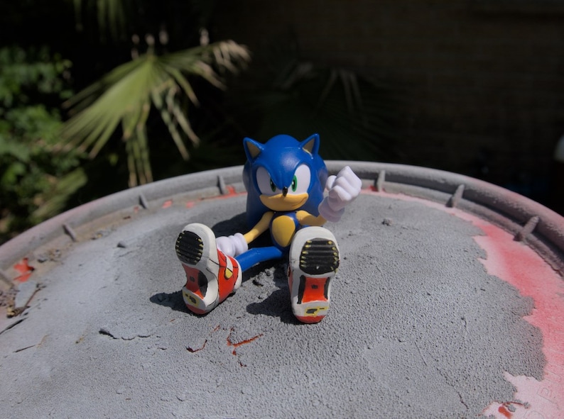 Custom 3D Printed Sonic Soap Shoes Etsy
