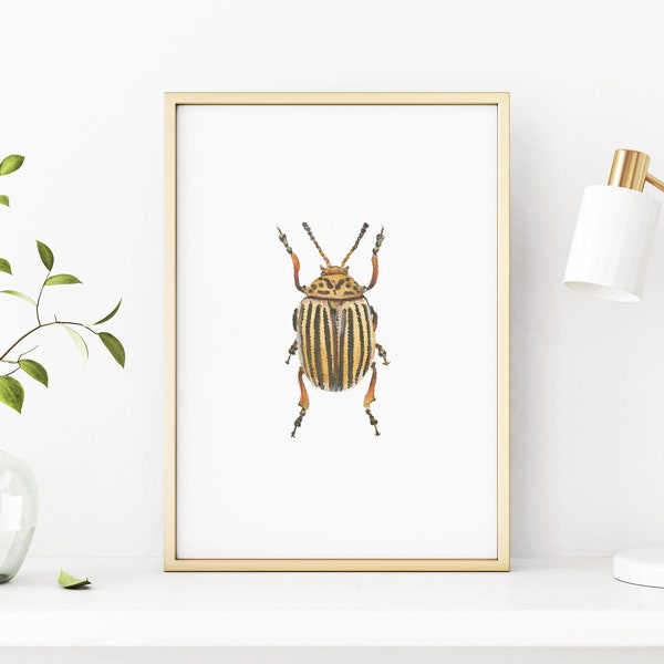 Stampa digitale acquerello scarabeo, arte della parete di insetti, download di insetti, illustrazione Aquarelle, arredamento da parete fatto a mano Download stampabile