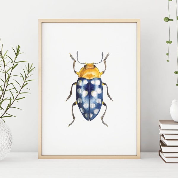 Stampa digitale acquerello scarabeo giallo, bianco e blu, arte della parete di insetti, download di insetti, illustrazione Aquarelle, decorazione della parete fatta a mano Scarica