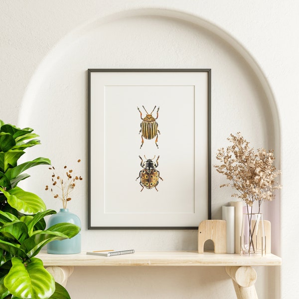 2 stampa digitale acquerello Beetle, arte della parete di due insetti, download di coppia di insetti, illustrazione Aquarelle, arredamento da parete fatto a mano Download stampabile