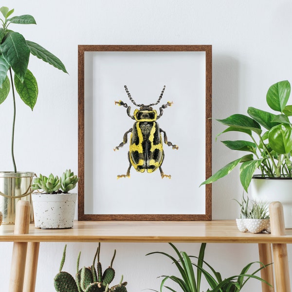 Stampa digitale acquerello scarabeo giallo, arte della parete di insetti neri, download di bug, illustrazione Aquarelle, download stampabile di decorazioni murali fatte a mano
