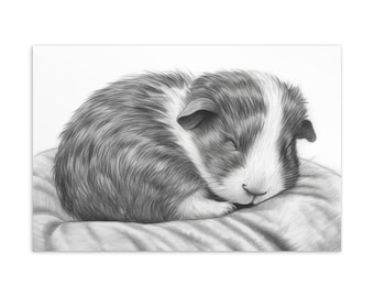 Cute guinea pig postcard: Charlie