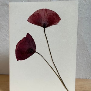 Véritable carte de voeux fleurs pressées - Double coquelicot. Idéal pour les cartes-cadeaux d'anniversaire, de mariage, de fête des mères. Un souvenir impérissable