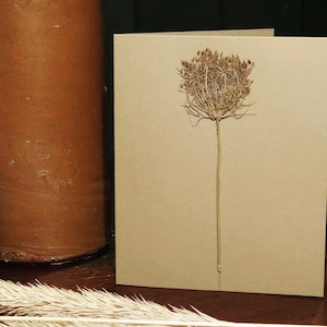 Cartão de flor prensada real - Cabeça de semente de cenoura selvagem. Ótimo para cartões de presente de aniversário, aniversário, casamento, dia das mães. Uma memória duradoura