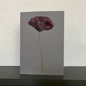 Echte gepresste Blume Grußkarte - Mohnblume auf grau Tonkarton