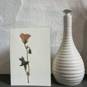 Echte gepresste Blume Grußkarte - Geranie. Ideal für Geschenkkarten zum Geburtstag, Jubiläum, Hochzeit, Muttertag. Eine bleibende Erinnerung