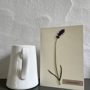 Real Pressed flower card- Lavender on Cream Card. Great for Birthday,Anniversary, Wedding, Mother’s Day gift cards. A lasting memory
