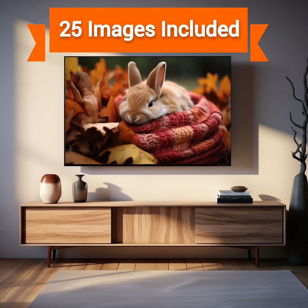 Fall 2023 Bunny Rabbit Smart TV Screensaver 25 Image Pack for Use With