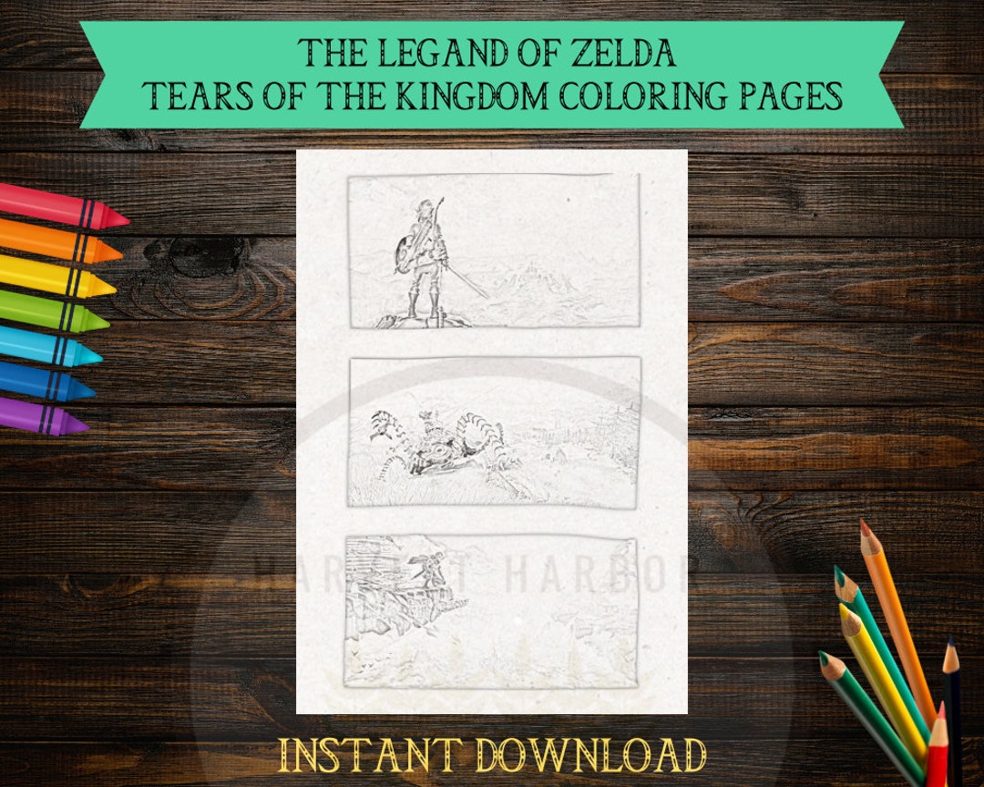 Fun Past Time Legend of Zelda Tears of the Kingdom Coloring Pages ...