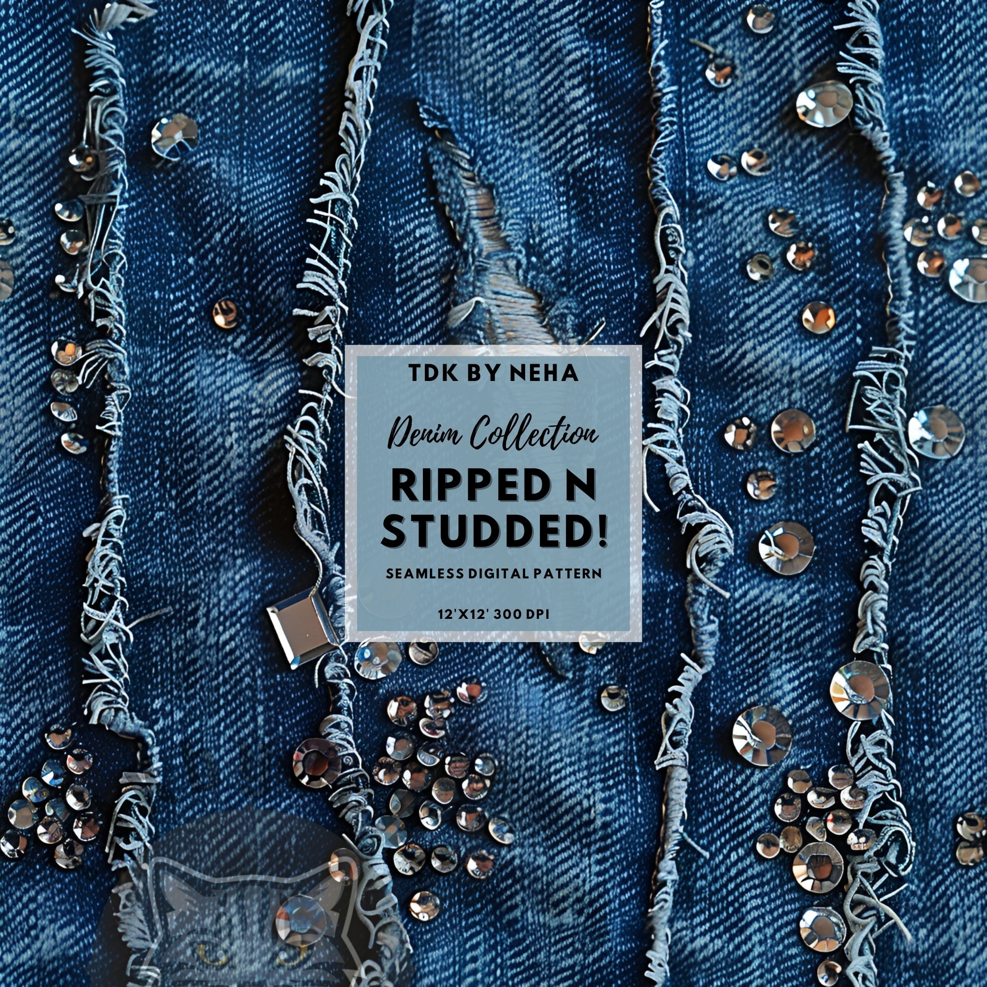 デニムパンツ ダメージ加工 プリントデザイン D&G ドルチェアンド