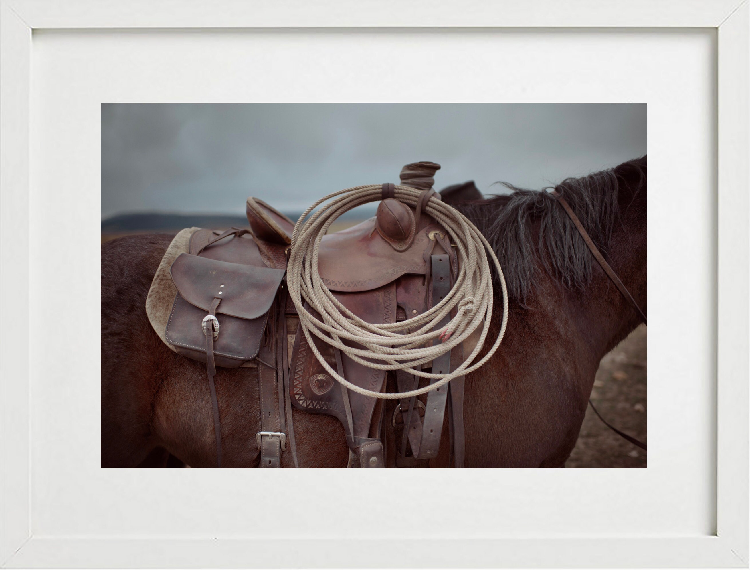 Cowboy Rope Stretched Cowboy's Rope and Saddle Photographic Print - Etsy