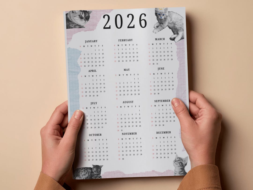 2026 Cat Calendar, Cute Cat Calendar, 2026 Full Year Calendar, One Page ...