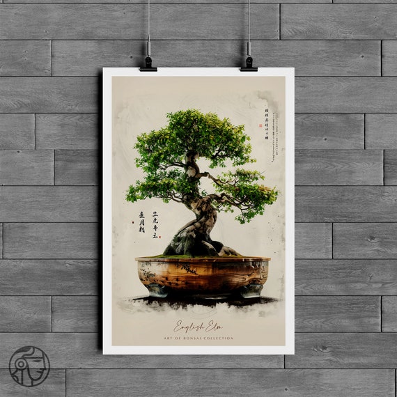 Bonsai Tree Poster - English Elm Bonsai Tree, Japanese Art