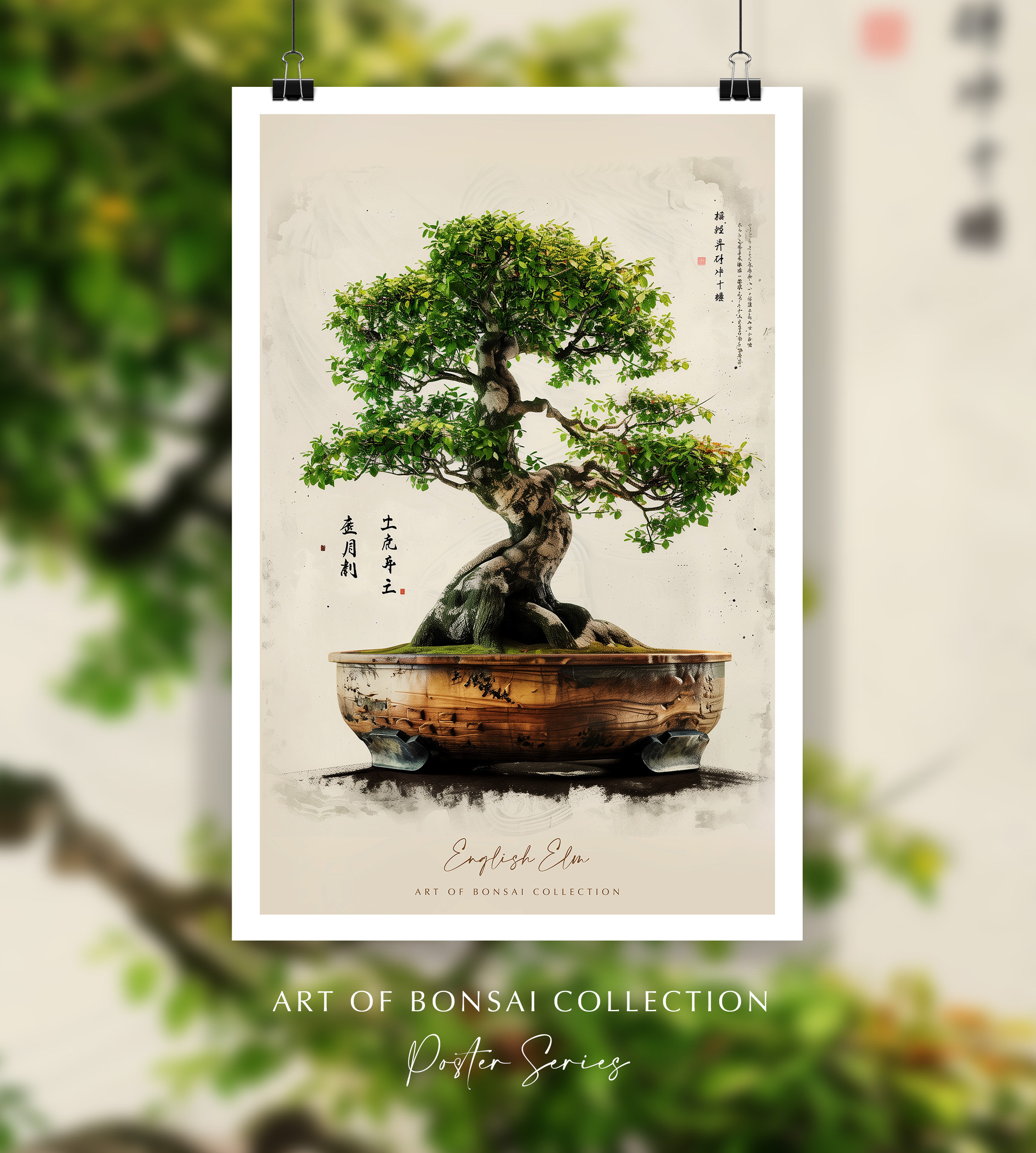 Bonsai Tree Poster - English Elm Bonsai Tree, Japanese Art