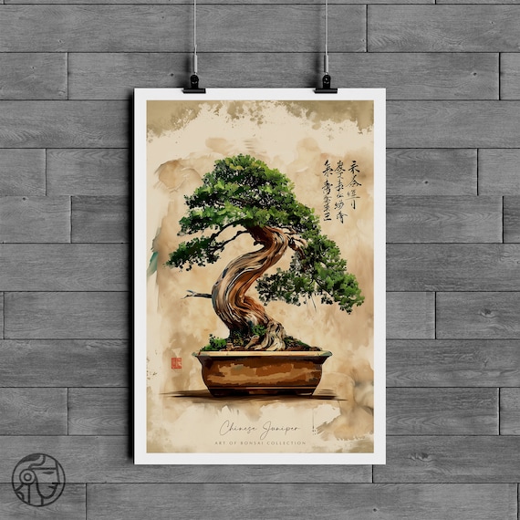 Bonsai: A Patient Art 洋書 Amazon.com: Bonsai: A Patient Art: 9780300190908: Nakamura