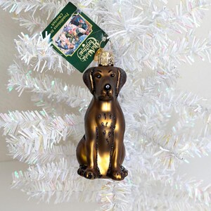 Old World Christmas Doodle Puppy Surprise Glass Blown Ornament for C