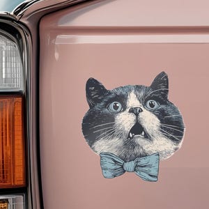 Funny Cat Car Sticker, Vinyl Decal, Kiss Cut Vinyl for Notebooks & Laptops, Cute Car Sticker, Quirky Cat Bumper Sticker, Cat Lover Gifts