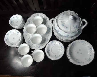 49 pc. - Johann Haviland "Blue Garland" Fine China