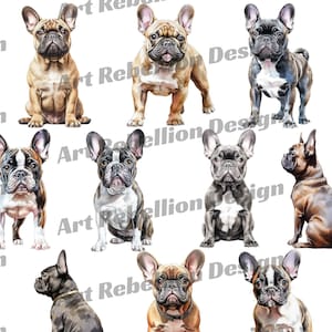 Französische Bulldogge Hund Clipart - süßer Hund ClipArt in PNG - sofort download für kommerzielle Nutzung