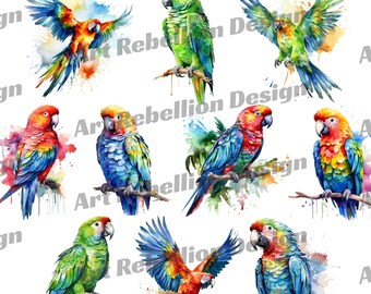 Watercolor Parrot Clipart - tropical bird clip art in PNG - instant download for commercial use