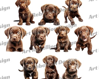 Chocolate Labrador Puppy Clipart - cute puppy dog clip art in PNG - instant download for commercial use