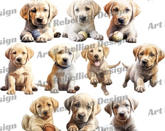Yellow Labrador Puppy Clipart - cute puppy dog clip art in PNG - instant download for commercial use