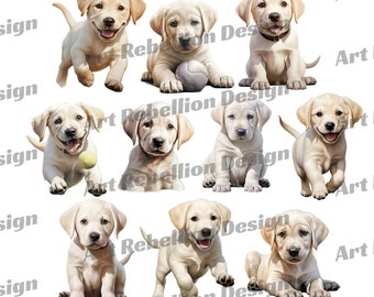 White Labrador Puppy Clipart - cute puppy dog clip art in PNG - instant download for commercial use