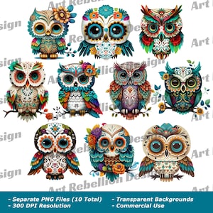 Sugar Skull Owl Clipart - joli jour de l'art animal mort clip en PNG - téléchargement immédiat pour un usage commercial