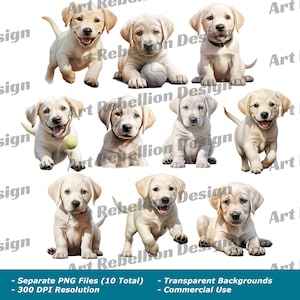 Witte Labrador Puppy Clipart - schattige puppy hond illustraties in PNG - instant download voor commercieel gebruik
