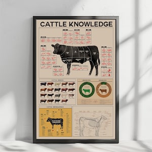 Cattle Knowledge, Beef Knowledge Poster, Beef Butcher Guide,  Beef Cuts Print, Kitchen Decor, types of cattle, Beef steak restaurant poster