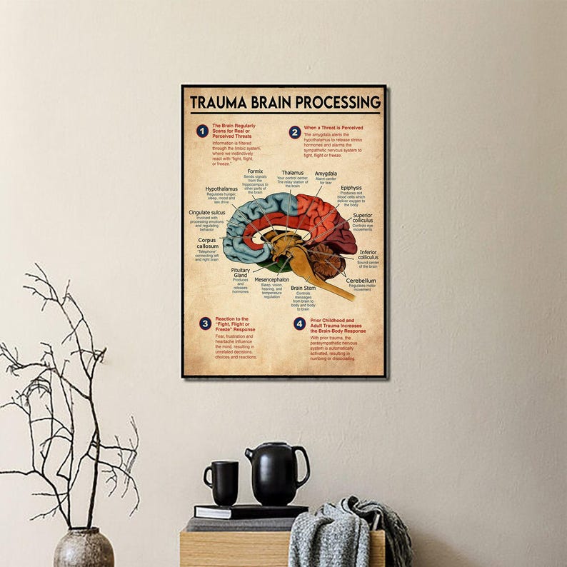 Trauma Brain Processing Poster, Brain Anatomy Poster Brain Zones Mental Health Wall Art, Trauma, Fight or Flight, Nervous System, Unframed image 4
