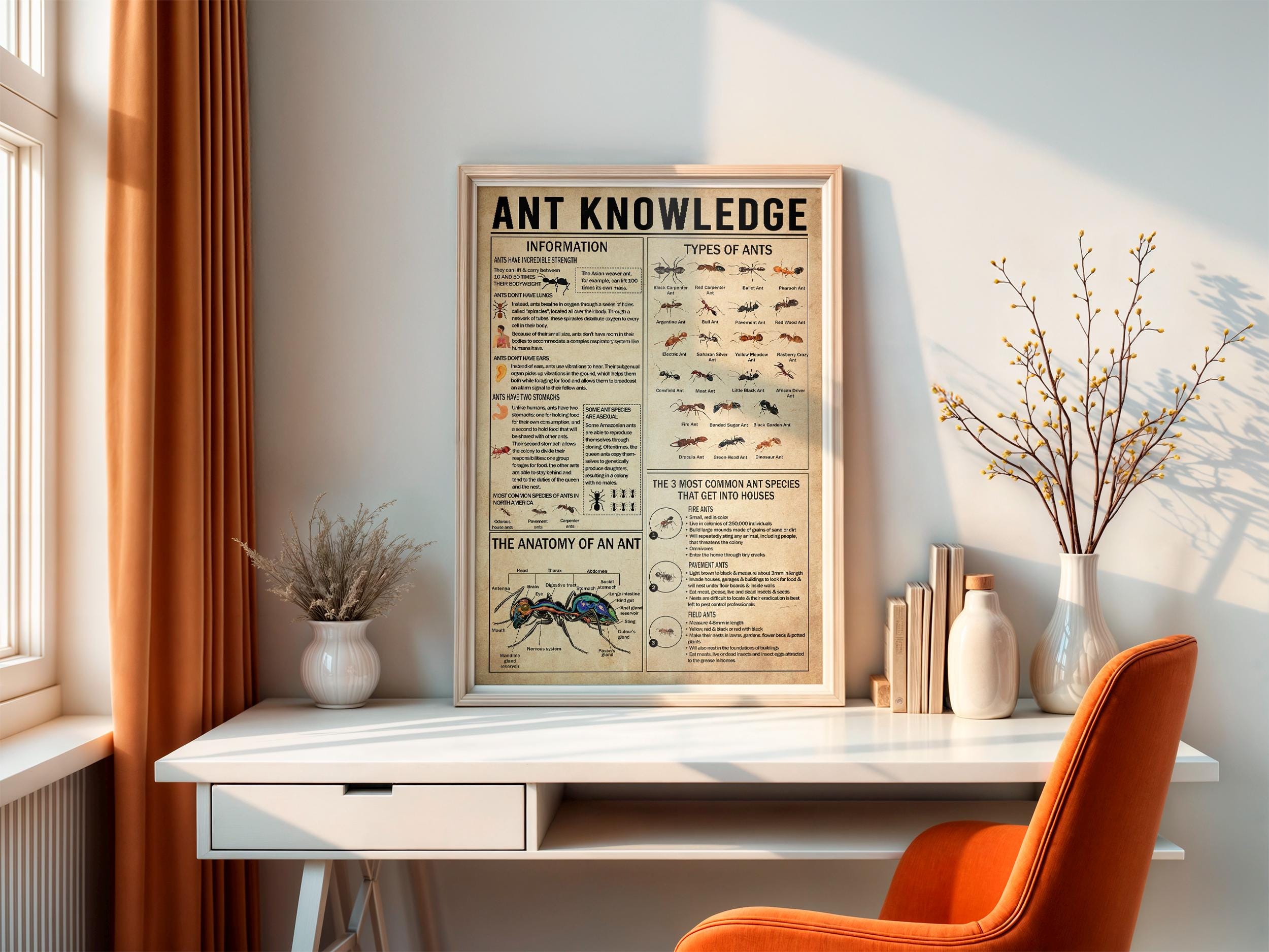 Ant Knowledge Poster, Types of Ants Vintage Poster, Ant Lover Gift ...