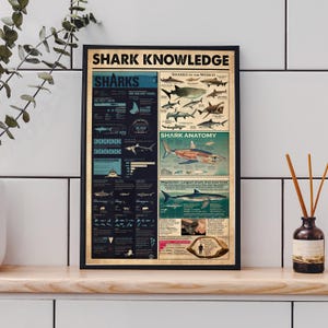 Sharks Vintage Poster, Types of Sharks, Sharks of the World, Nautical, Shark Anatomy, Sharks lover gift, Beach House Decor, Shark facts rint
