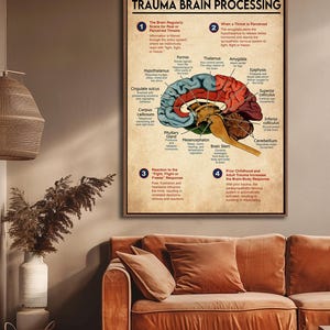 The image is a poster of the brain, with various parts labeled and described in detail.