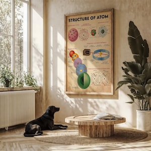 A black dog is sitting on a wooden floor in a room with a large poster of the structure of an atom hanging on the wall.