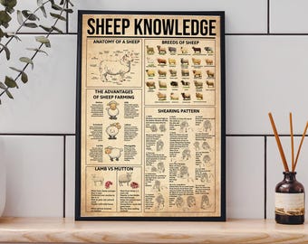 Plakat z wiedzą o owcach, wydruk z owcami, sztuka z owcami, dekoracje z owcami, sztuka ścienna z owcami, plakat z owcami, dekoracja ścienna z owcami, anatomia owiec