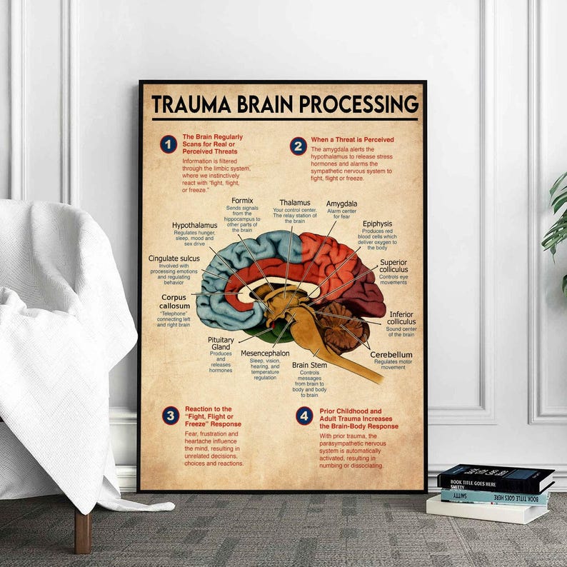 Trauma Brain Processing Poster, Brain Anatomy Poster Brain Zones Mental Health Wall Art, Trauma, Fight or Flight, Nervous System, Unframed image 6